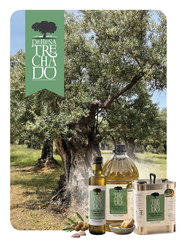 Olivo centenario con los envases de Dehesa Trechado